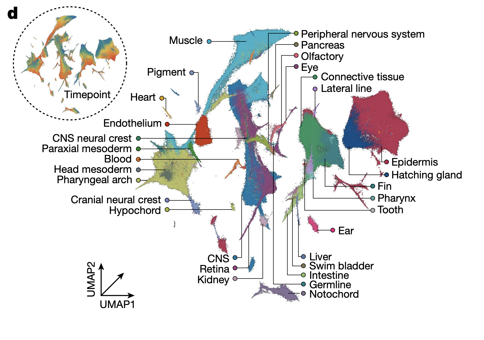 Saunders et al 2023