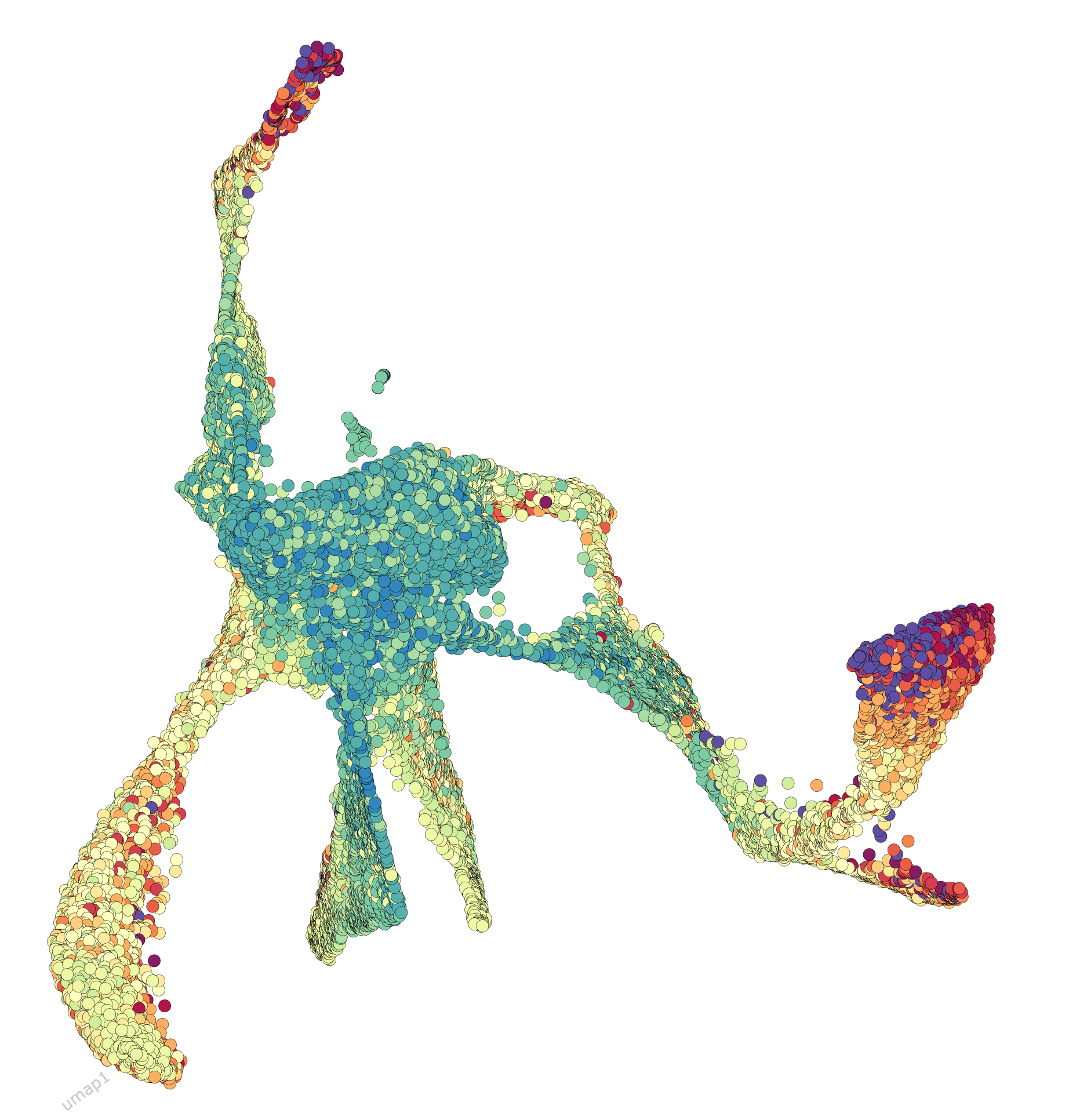 temporal-UMAP